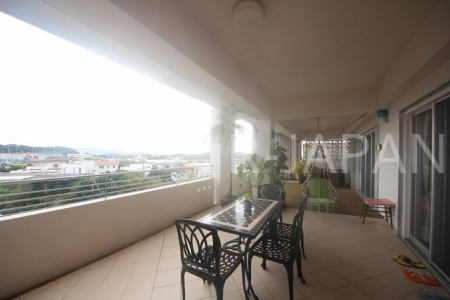 �o���R�j�[�@-