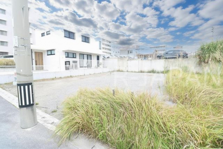 ���n�y�n�ʐ^�@��