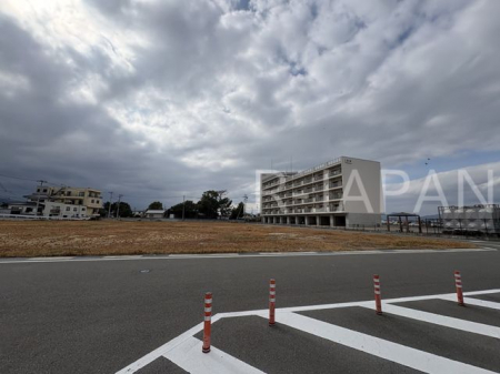 ���n�y�n�ʐ^�@-