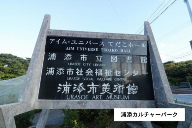 @YYJ`[p[N܂œk12(910m)