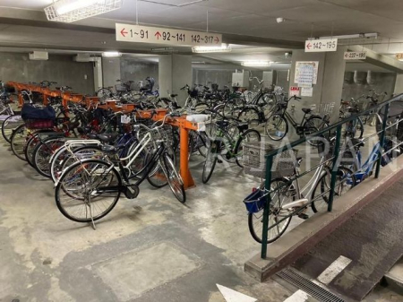 ���̑��@���L����